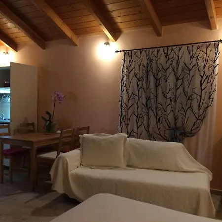 Wooden Roof Apartment